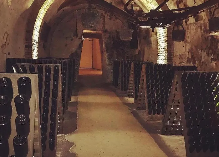 Hyper-centre Erlon Cathedrale Calme Apartment